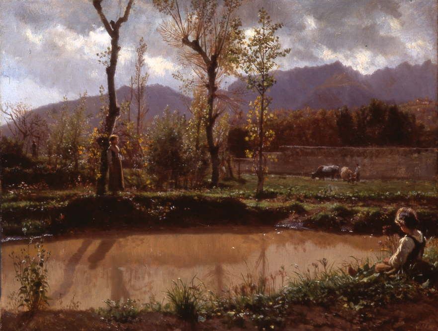 Paesaggio. Dopo la pioggia uno stagno d'acqua torbida